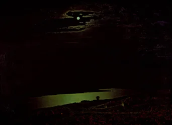 Noche de luna en el Dniéper, 1882