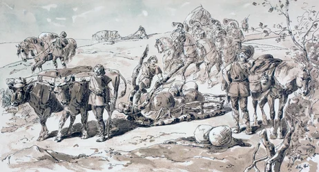 Bueyes tirando de un trineo primitivo cargado de rocas, 1886