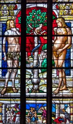Catedral Sainte-Marie, Auch, Gers, 2018 (vidriera)