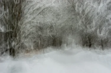 Un sendero nevado de ensueño