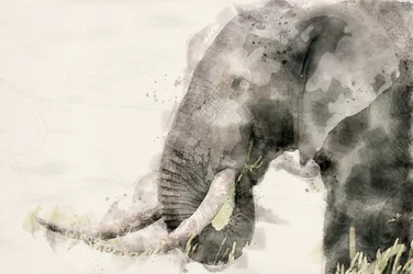 Acuarela de un elefante en paz