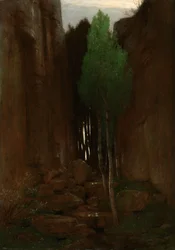 Manantial en un desfiladero estrecho (Quell in einer Felsschluct)