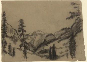 paisaje de montaña con abetos
