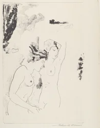 Ninfas del Arroyo