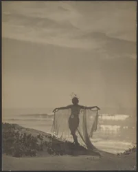 [Vista trasera de una bailarina con un traje transparente en la playa]