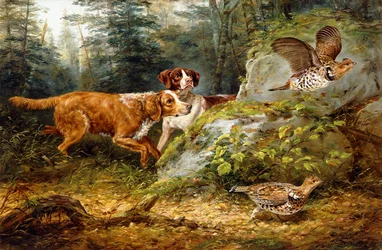 Sonrojado: Caza de urogallo, 1857