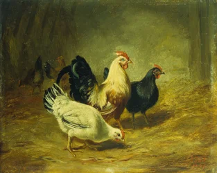 Alimentación avícola