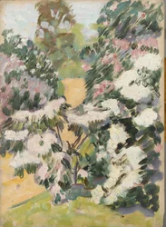 Floración, c.1900