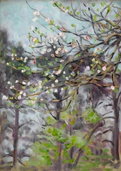 Cerezo en Flor con Pinos en el Fondo