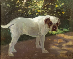 Un Bulldog en un Camino de Jardín