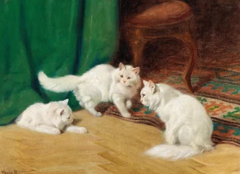Conversación entre gatos,