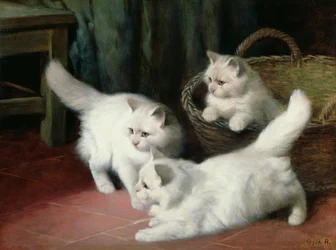 Tres gatitos de angora blancos