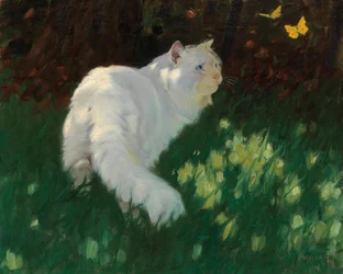 Gato blanco y mariposas