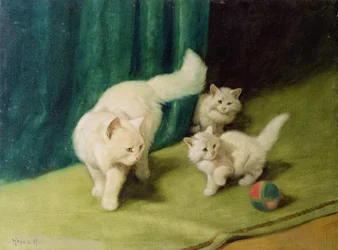 Gato persa blanco con dos gatitos