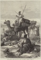 Bocetos persas, peregrinos con sus muertos yendo a los santuarios de Kerbala y Meshid Ali