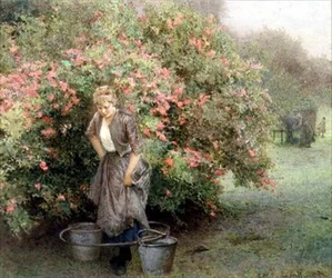 El pozo junto al árbol de mayo