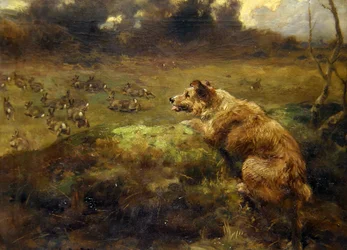 Cazador de conejos