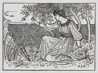 Hans Christian Andersen: Los cisnes salvajes