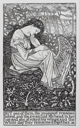 Hans Christian Andersen: Los cisnes salvajes