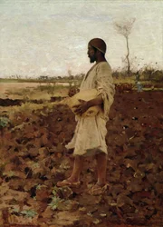 Un sembrador egipcio, 1881