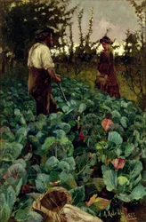 Jardín de coles