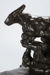 Canguro y perro