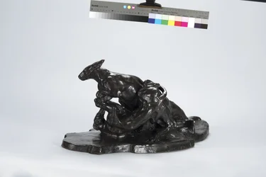 Canguro y perro