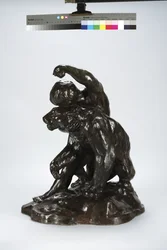 Puma y niño