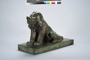 Puma en Guardia