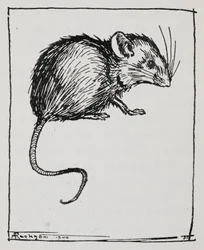 Un ratón