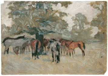 Caballos bajo un árbol