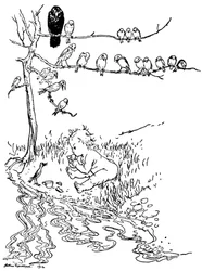 Ilustración para Peter Pan