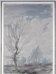 Estudio de un árbol