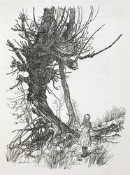 El Gato de Cheshire en un árbol mirando a Alicia