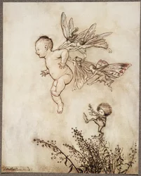 Todos le hicieron cosquillas en el hombro .. , de Peter Pan en los Jardines de Kensington por J M Barrie (1860 - 1937), pub. 1906