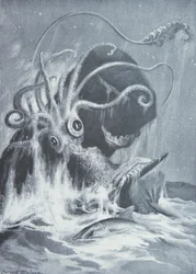 El Kraken vs. Cachalotes