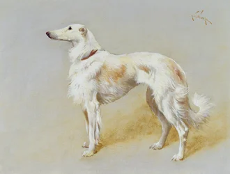 Un perro borzoi (óleo sobre lienzo)