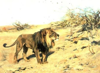 Un león entre los matorrales