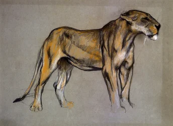 Una leona, c.1900 (pastel sobre papel gris)