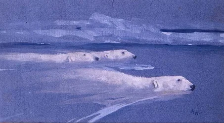 Osos polares nadando (acuarela)
