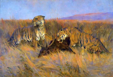 Tigres en la matanza (óleo sobre lienzo)