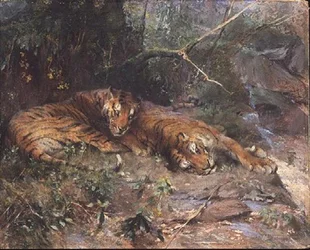 Tigres descansando junto a un arroyo