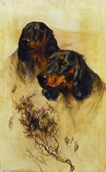 Dos Gordon Setters (óleo sobre lienzo)
