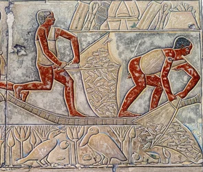 Arte Egipto: la pesca en el agotamiento. Colegio es similar a la Mastaba de Mereruka.