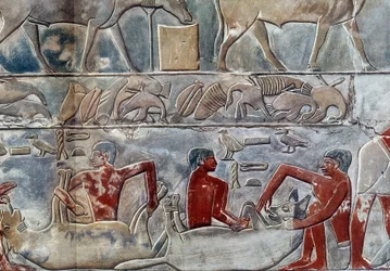 Arte Egipto: gavage de un hyene. Colegio similar a la Mastaba de Mereruka.