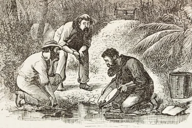 Australia (1880). La vida de los buscadores de oro en Botany Bay (fundada en 1788). Grabado. Colección privada