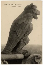 Gárgola o chimere de la catedral Notre Dame de París, construida entre 1163 y el siglo XIV - Tarjeta postal, colección Selva