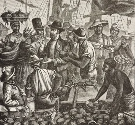 Historia de Inglaterra (siglo XIX). Colonización (1880). Bahama vendiendo piñas. Colonia inglesa en la isla de Nueva Providencia. Las piñas eran uno de los productos de exportación más importantes del puerto de Nassau. Grabado. Colección privada