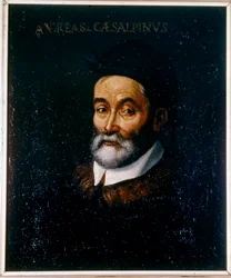 Retrato de Andrea CESALPINO