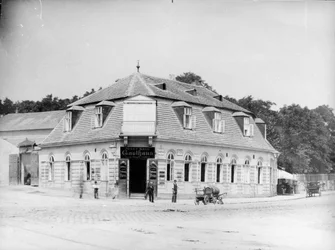 Viena 19